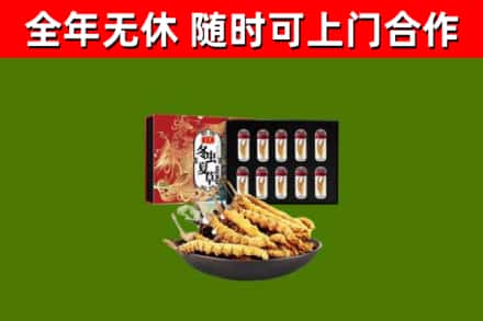 邵阳市回收冬虫夏草价格